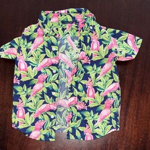 Janie and Jack Pink Parrot Print Kids Shirt